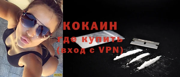 индика Алзамай